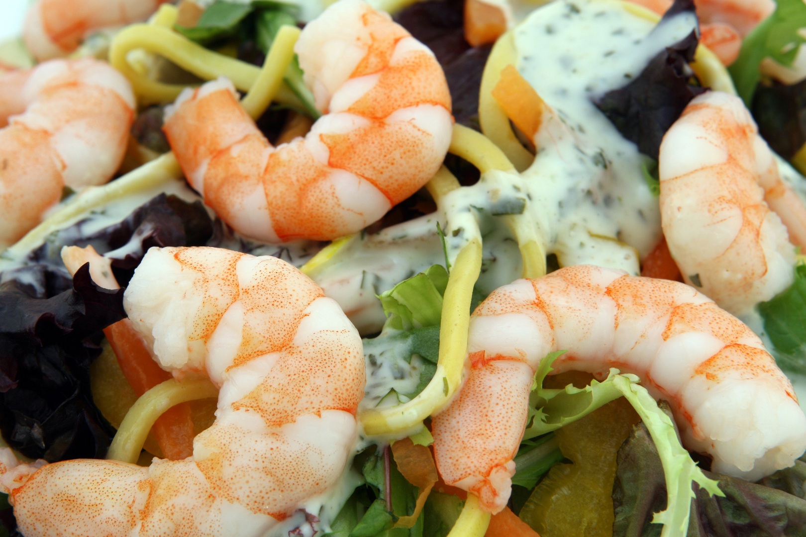 VAAD Catering Service